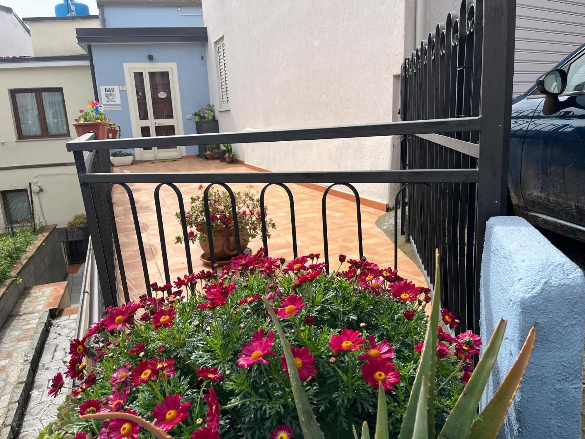 B&B Niu Susu Lanusei Kültér fotó